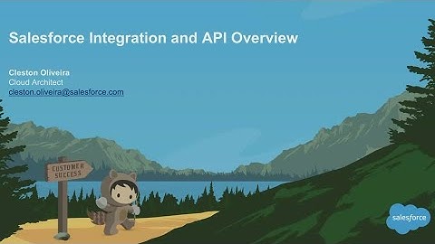Salesforce Integration and API Overview (1)