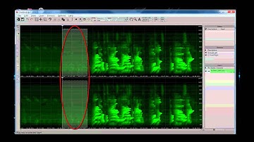 Sony Sound Forge & Spectral Layers Video Tutorial #1: Hiss Removal