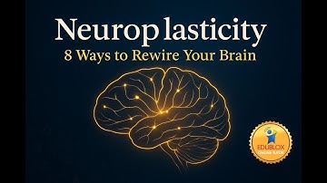 Neuroplasticity: 8 Ways to Rewire Your Brain