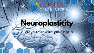 Neuroplasticity: 8 Ways to Rewire Your Brain