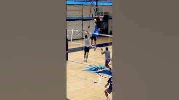What’s his vert? 👽 ……….. #volleyball #viral #haikyu #jump #voleibol #verticaljump #highlevel #fyp