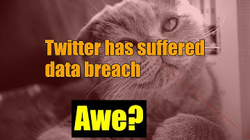 Hackers Exploit Twitter Vulnerability to Expose 5.4 Million Accounts