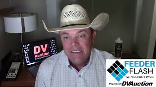 Feeder Flash 4/27:  Cash Fed Cattle Ignore Fundamentals