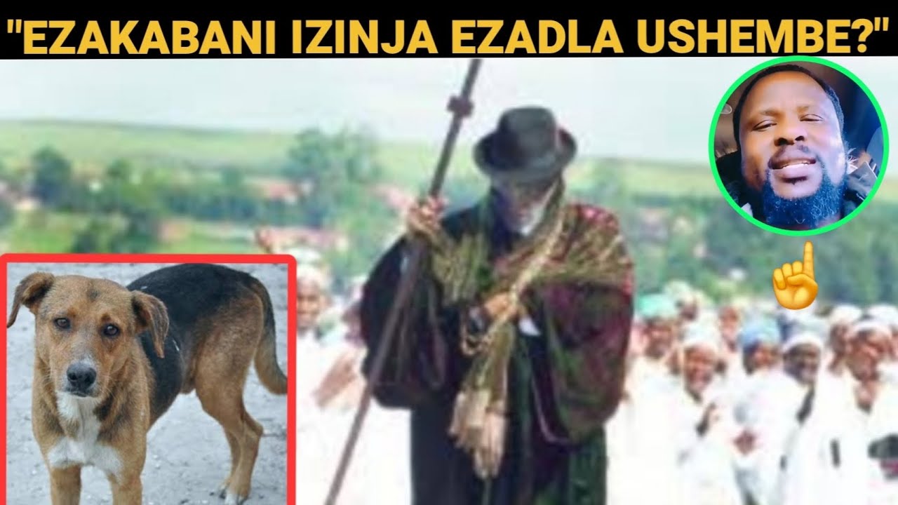 Ezakwabani eznija ezadla u Shembe inazaretha lihlukanise amanga neqiniso liveza umsuka walamampunge