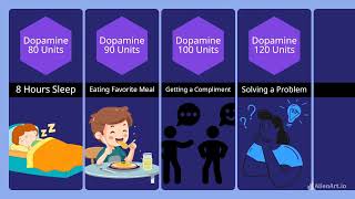 Human Most Pleasurable Things | Comparison