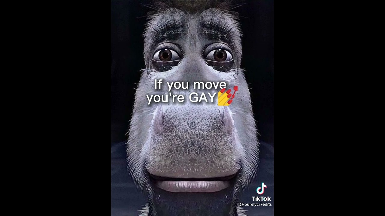 if-you-move-your-gay-youtube