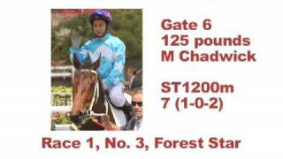 Racing tips for Sha Tin, Oct 1, 2009