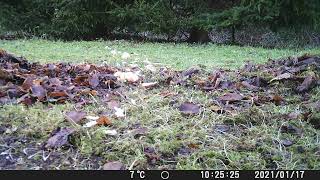 DSCF0660