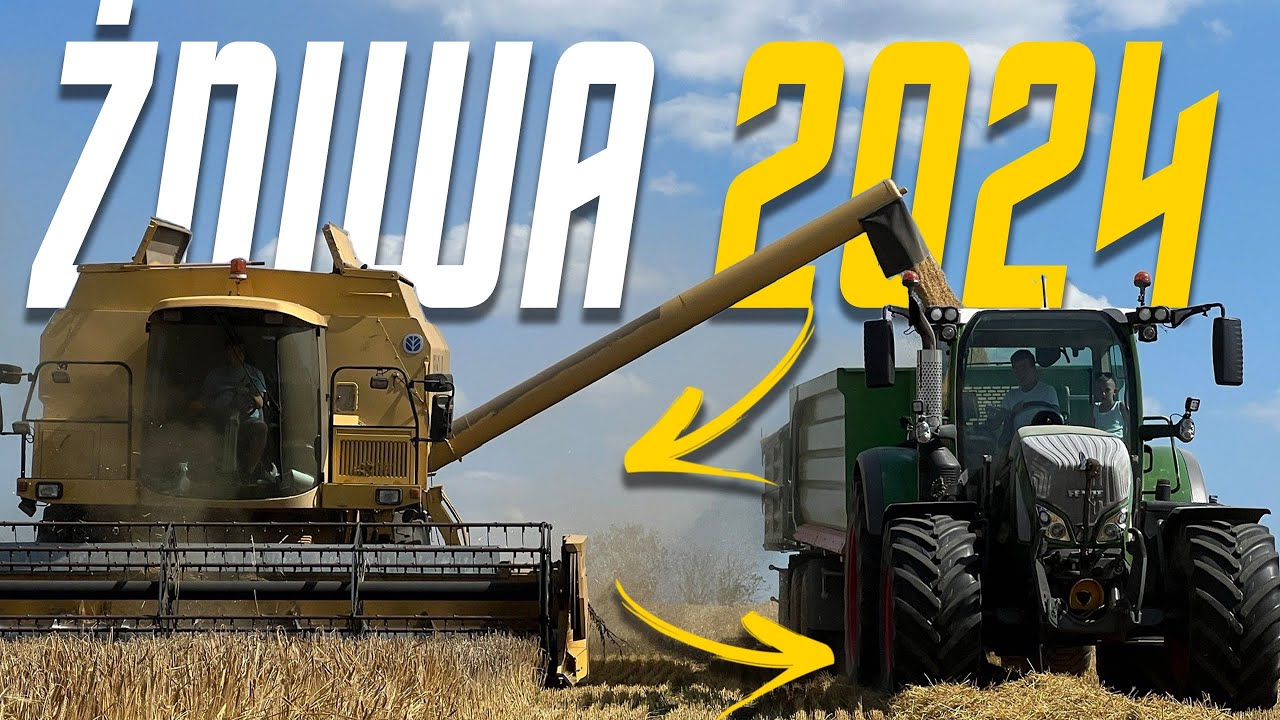Żniwa 2024 na dużą skalę!! Rogowski Maszyny Rolnicze