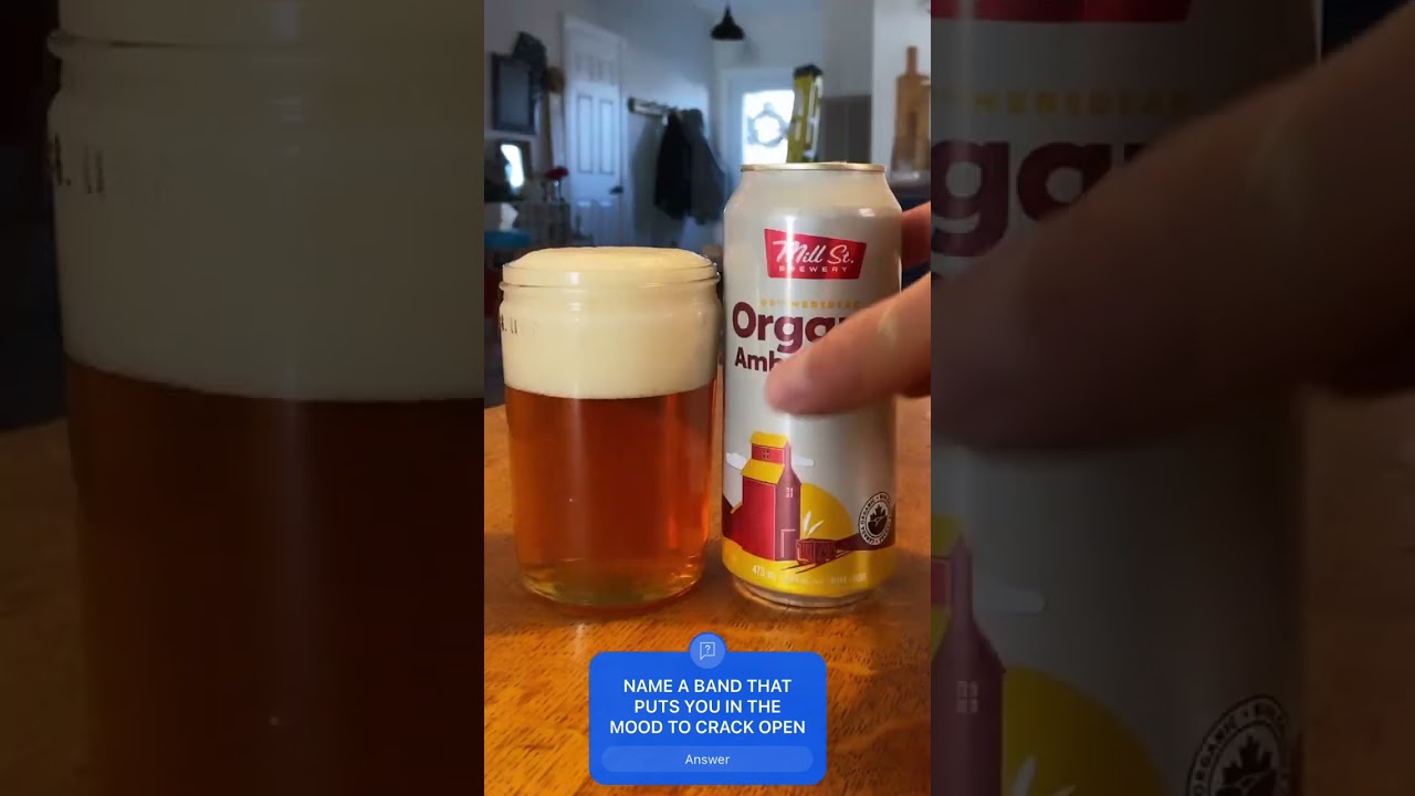 MILL ST 100th Meridian Organic Amber Lager 5% 