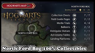 Hogwarts Legacy NORTH FORD BOG ALL COLLECTIBLES (100% Collectible Guide) Wealth