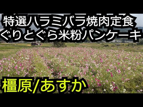 隠れコスモス＆お得な特選焼肉ランチ 絵本のふっくらパンケーキ【奈良 橿原市明日香村】