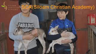Ibcd 소개영상