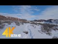 Winter Walk 4K 60fps - Mesmerizing Winter Scenery of Ancient Lakes Trail, WA