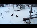 Чепушилка с Умняшкой пробираются через снег