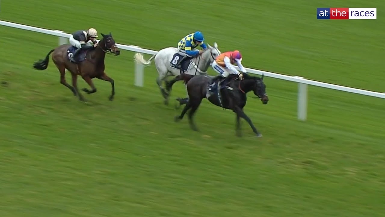 Фаворит Гранд Нэшнл HAITI COULEURS одерживает победу в Ньюбери! 💪