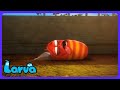Larva - Kebi hoitaa lapsia! | Børnefilm | WildBrain Bondgård