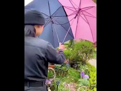 Зонтик для двоих - YouTube