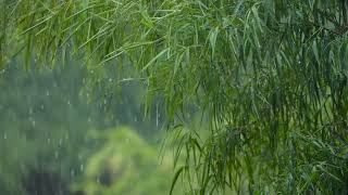 heavy rain walkthrough | magical sleep music | detox negative emotions | sleep better | détendre