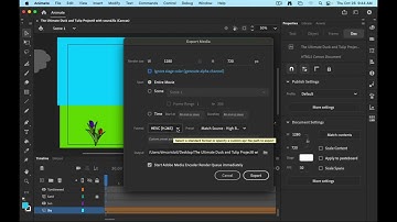 How to export and render in Adobe Animate