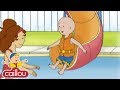 Caillou and the BIG SLIDE -  Cartoon Movie | Funny Animated cartoon