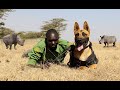 DIEGO THE MALINOIS - LETHAL ANTI POACHING DOG