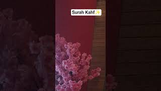 Surah Kahf☘️✨.... #jummahmubarak #urdutranslation #loveislam #shorts @Basic-teaching-x4i