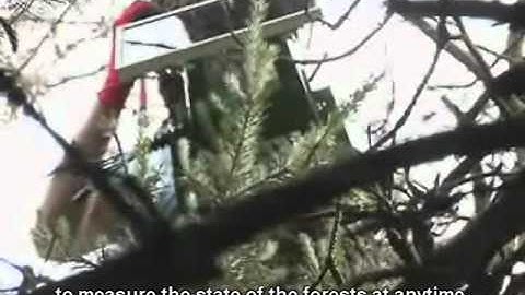 Forest Fire Detection using Wireless Sensor Networks