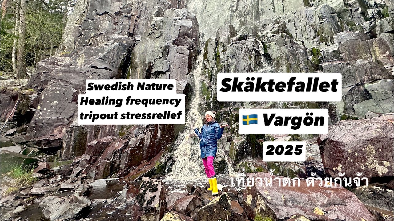 Skäktefallet ( Vargön ) 