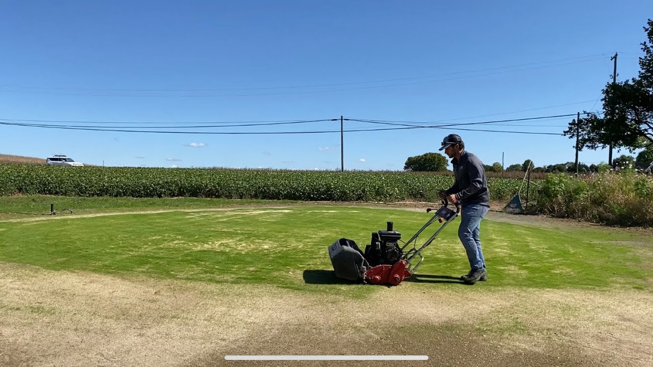 Mowing Bentgrass 21 days after seeding YouTube