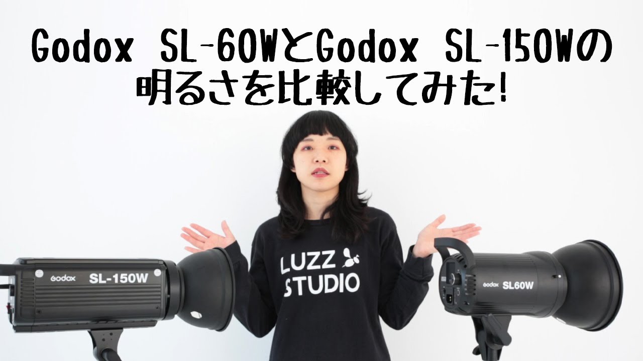 ペア GODOX SL-60W ビデオカメラライト | rpagrimensura.com.ar