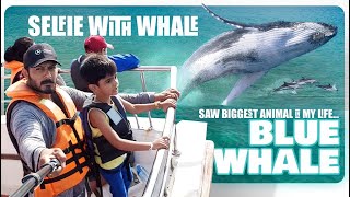 I Saw the Biggest Blue Whale Jumping Around Me In the Indian Ocean | Mirissa | SriLanka Tourism