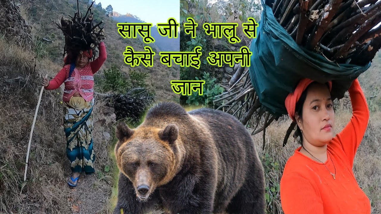 सास बहू गए जंगल लकड़ी लेने | सासुमा ने भालू से अपनी जान बचाई 😱 | @pahadivloggerritika