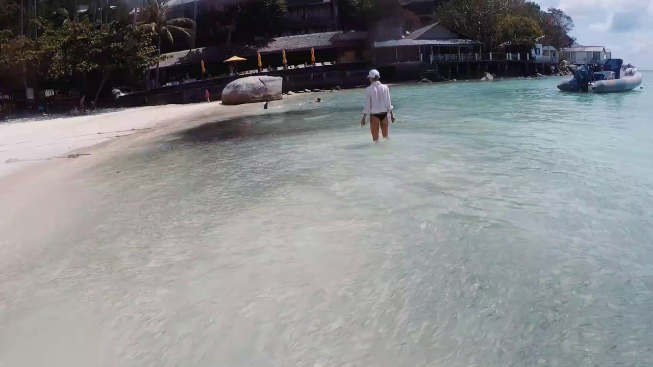 Beach fishing at Koh Tao YouTube