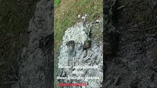 Kız Seni Seveli Gülmedi Yüzüm