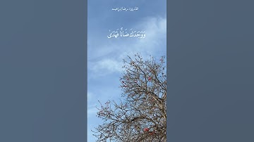 سورة الضحى للقارئ رضا إبراهيم #تلاوات #تلاوة_خاشعة #تلاوة_هادئة #راحة_نفسية #قرآن #حالات_واتس