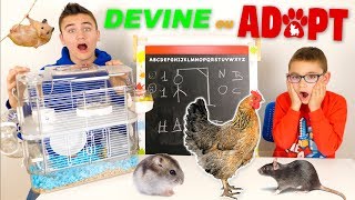 DEVINE LE MOT OU ADOPTE ! (un animal)