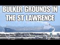 Canadian Freighter Tim S. Dool Hard Aground in the St. Lawrence Seaway