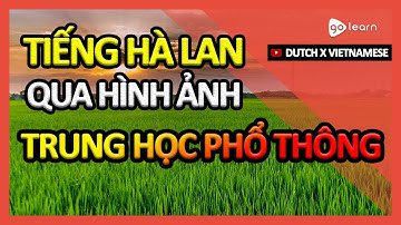 Học Tiếng Hà Lan Qua Hình Ảnh |Từ Vựng Tiếng Hà Lan Trung Học Phổ Thông | Golearn