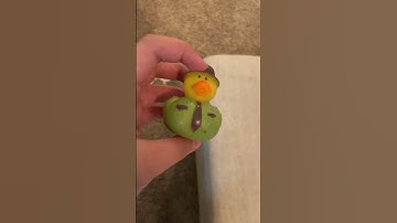 I will 3-D print a duck for every subscriber. This video gets #3dprinting #3d #duck