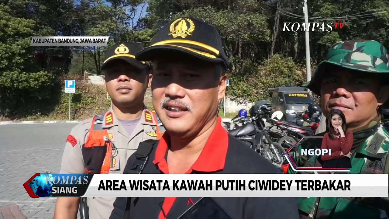 babette's feast Kebakaran Hutan Ciwidey Diduga Akibat Puntung Rokok Wisatawan