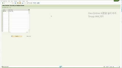 SAP - 특성 그룹 추가 ( SPRO ) / CT04