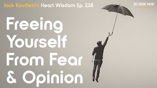 Jack Kornfield on Freeing Yourself From Fear and Opinion - Heart Wisdom Ep. 238