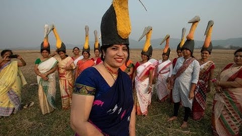 Community rewilding efforts saving the Hargila (Greater Adjutant Stork) from extinction