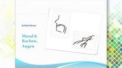 chlamydien übertragungswege