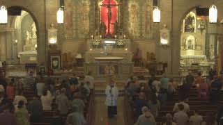 The Real Presence: Eucharistic Miracles and Our Call to Reverence