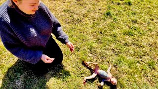 Это так весело, Николь совсем осмелела и бегает по всей полянке сверкая своим ♥️