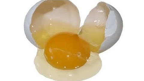 Destruction of Eggchan_ (5-4) | Toxic + racist [RegineUHCS + MCPE 0.15.10 & 0.14.3 PvP Clips]