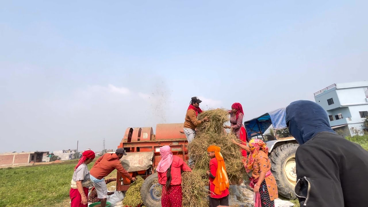 Sita dd ko aaj tori theser lagaudai. 