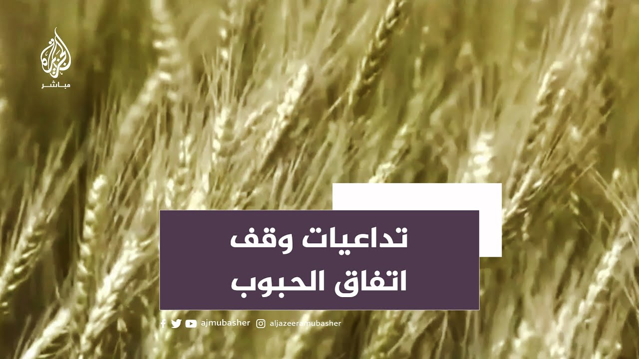 مئات الملايين من المتضررين.. تداعيات قرار روسيا إنهاء العمل باتفاقية الحبوب